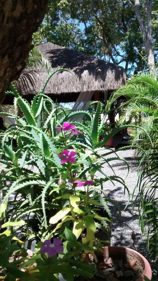 Chale "Oasis" Villa Praia do Forte Exterior photo